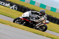 PJ-Motorsport-2019;anglesey-no-limits-trackday;anglesey-photographs;anglesey-trackday-photographs;enduro-digital-images;event-digital-images;eventdigitalimages;no-limits-trackdays;peter-wileman-photography;racing-digital-images;trac-mon;trackday-digital-images;trackday-photos;ty-croes